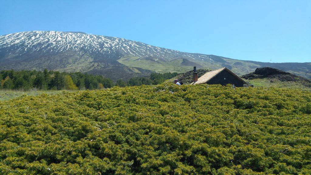 Etna Bike Holiday Zafferana Etnea Exterior photo
